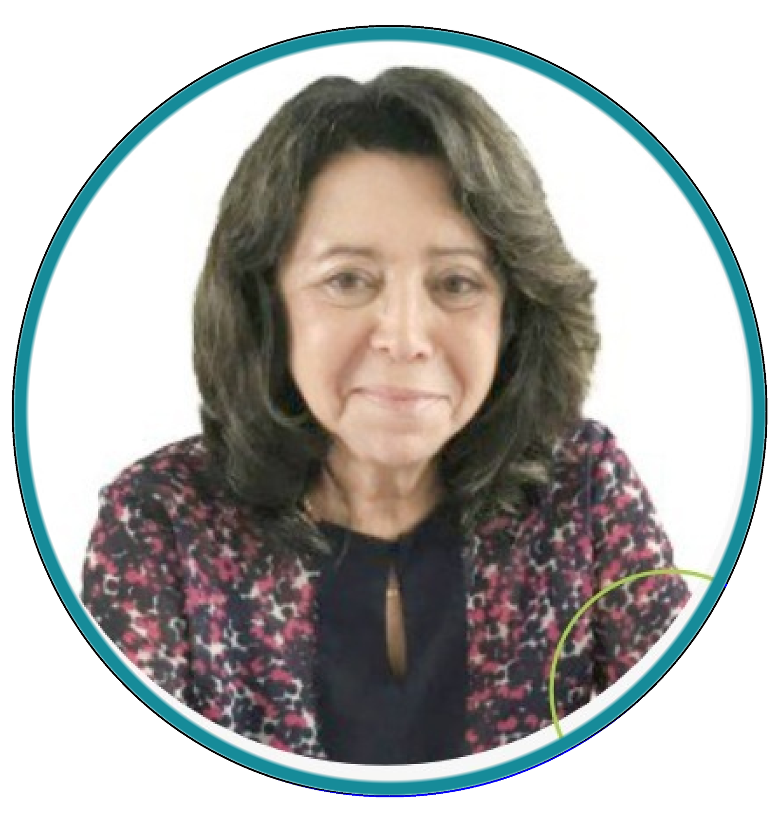 Retrato de Artemis de Araujo Soares